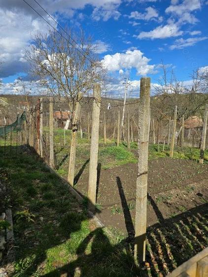 Herneacova-Casa si Teren-Livada- 2876 mp- Front 37m - 7