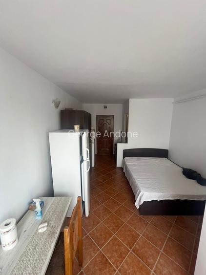 Garsoniera Piata Nicolina! Renovata, curata, gata de mutare Garsoniera Piata Nicolina! Renovata, curata, gata de mutare