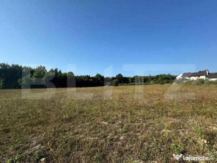 Teren intravilan, 3000mp, com. Darmanesti - 2