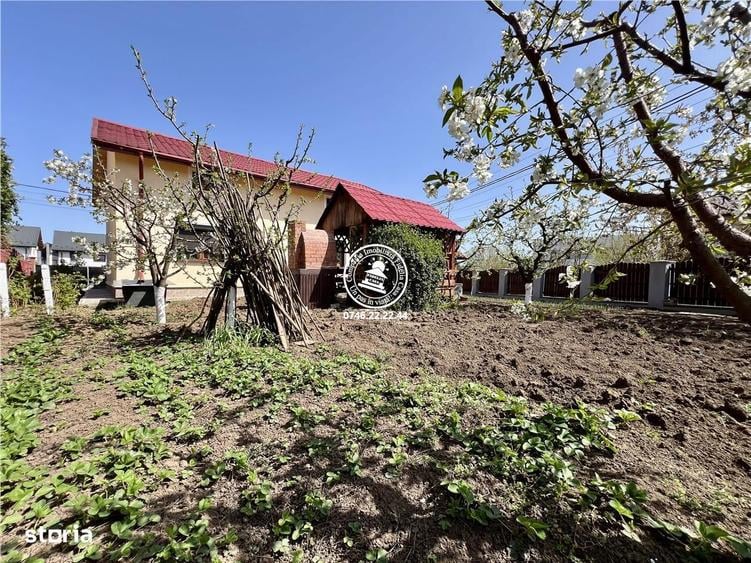 Fidelia Casa va ofera spre vanzare o vila individual - 6