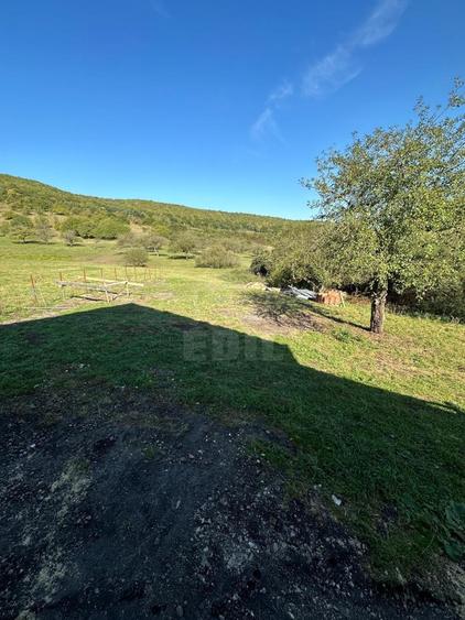 Casa individuala - 5