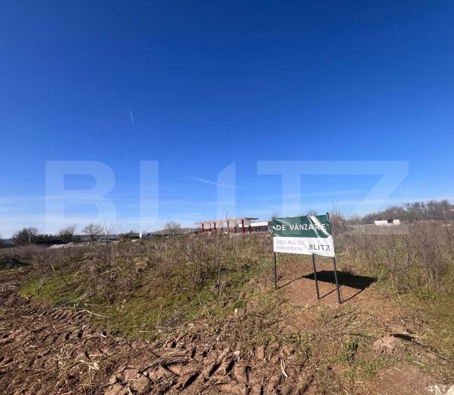 Teren intravilan 12.500 mp, zona Profi Logistic Isalnita - 1