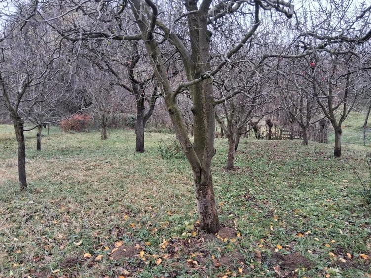 Casa cu 1000 m2 teren, 40 km Sinaia, 15km Pucioasa - 3