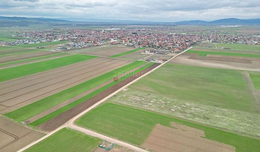 Teren intravilan - 11