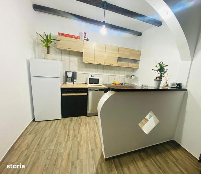 Casa de vacanta cu 5 camere si iesire la rau in Raul Sadului - 2
