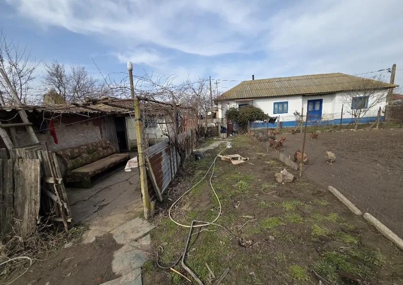 Casa + teren in SABANGIA -jud TULCEA - 3