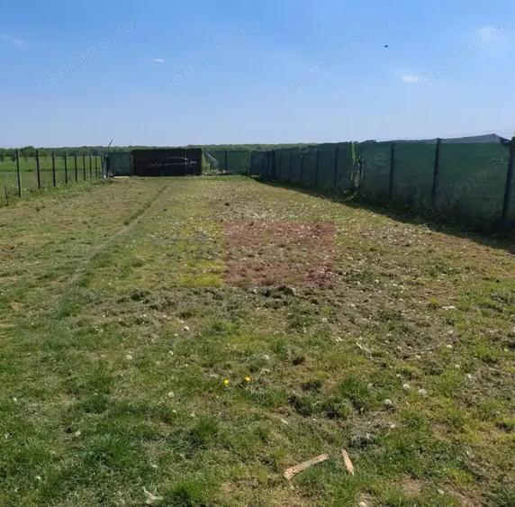 Teren cu constructie de vanzare in Urleta - 6