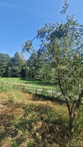 Casa PREDELUT , 4 camere - 4