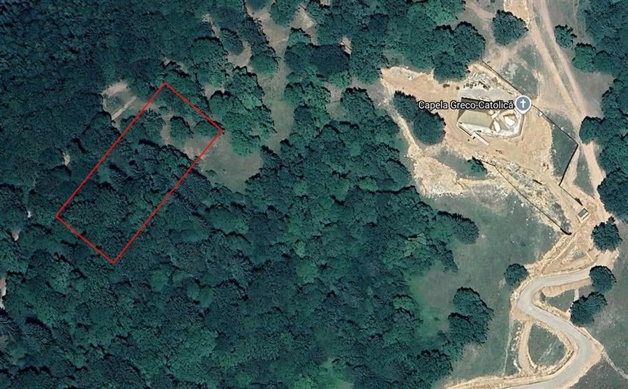 Teren de vanzare 4713 mp investitie | Poiana Brasov - 12