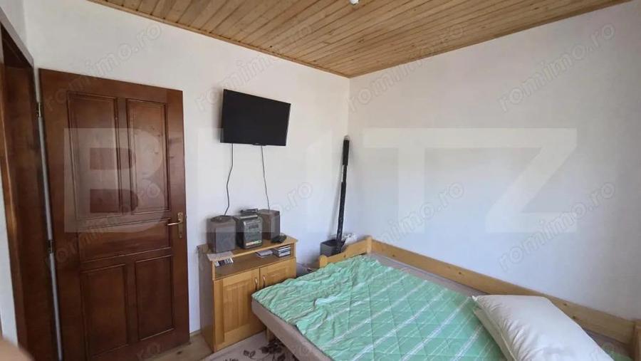 Casa de vacanca cu potential turistic, 1603 mp teren, Cernatesti - 8