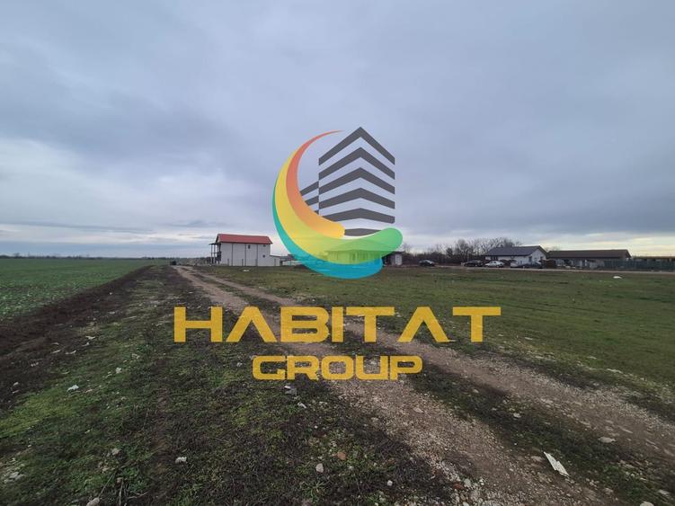 Teren intravilan 500 mp Afumati Sindrilita - 6