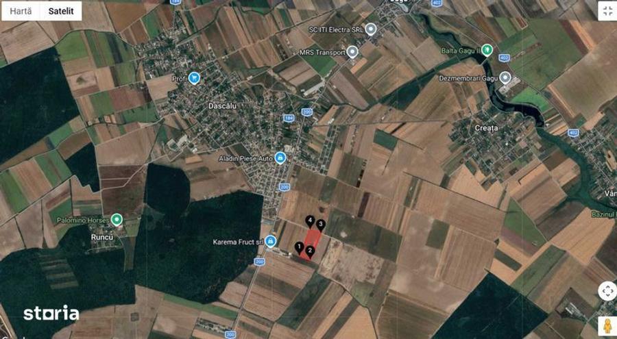 Teren de vanzare Dascalu, Ilfov - 1