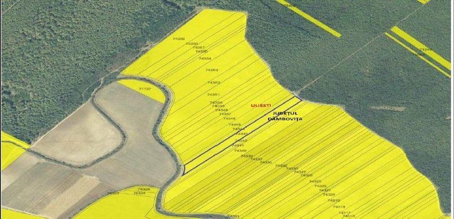 Teren extgravilan agricol Uliesti, ID: R2263433 - 5