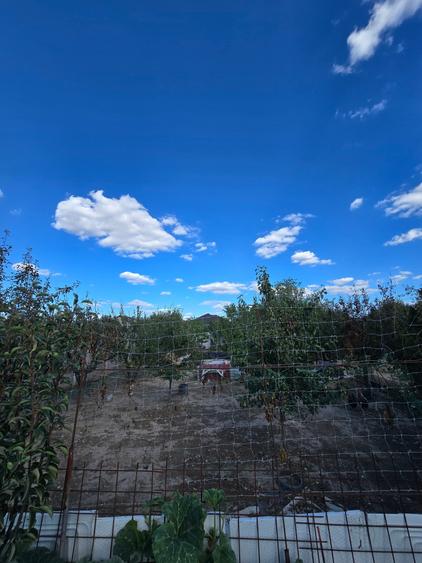 Parta- casa parter-719 mp - 9