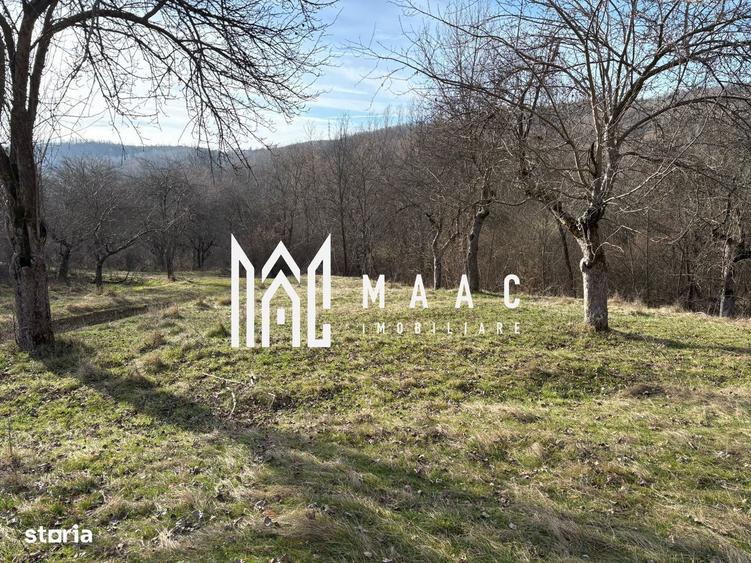 Teren de vanzare, 7750 mp I Orientare sudica I Caineni - 7