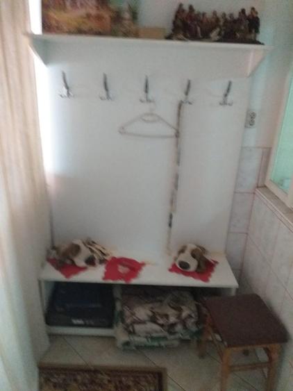 Inchiriez sp.comercial, de mag,alimentar,birou, depozit,in Miercurea Nirajului - 6