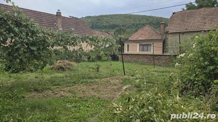 Casa 4 camere, anexe ?i gradina in centrul comunei Teliu - 3