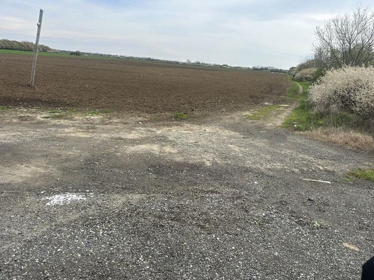 Vand teren zona industriala Sag - 2