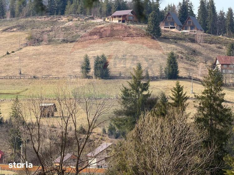 Teren de vanzare in inima Apusenilor 6.500 mp Arie?eni - 11