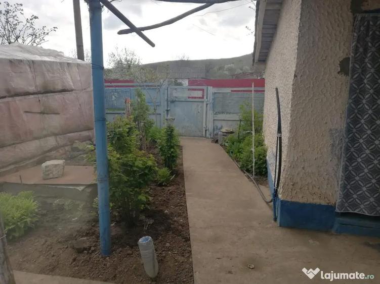 Casa de vanzare balabancea,tulcea - 10