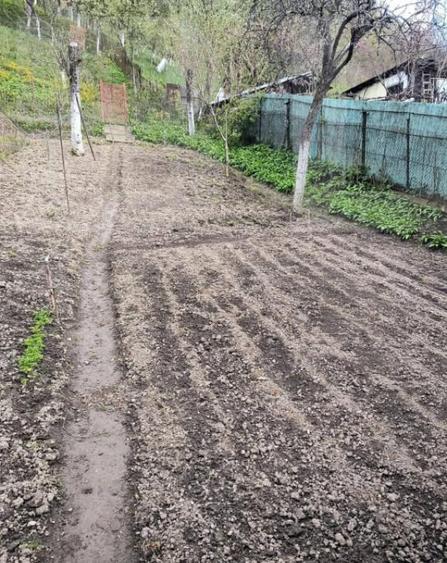 Vand casa la Nadrag zona linistita foarte aproape de centru - 4