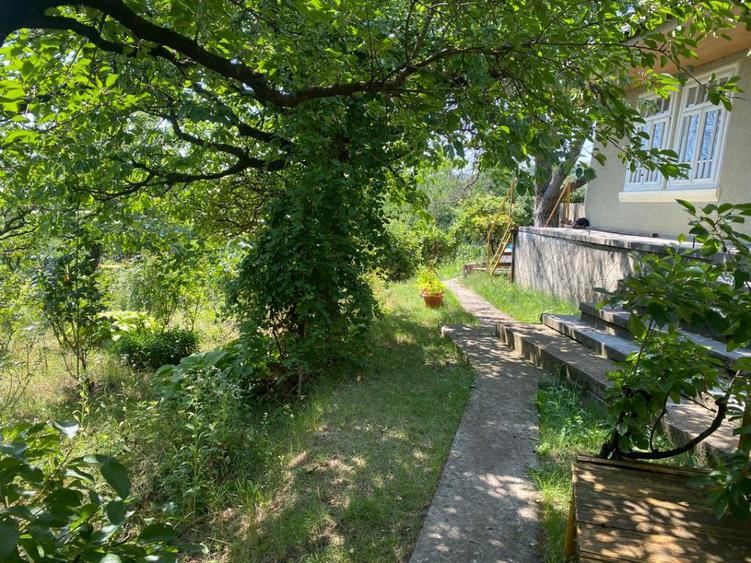 Teren 1000 mp si casa 75 mp vandut - 2