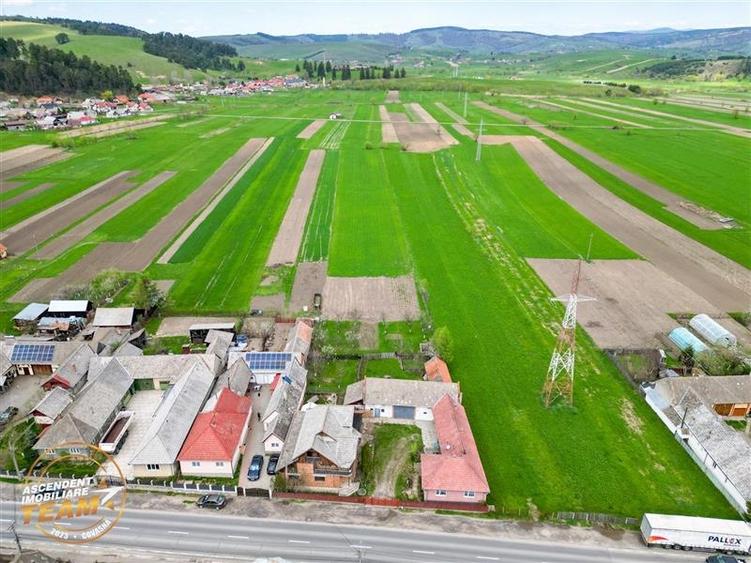 Ansamblu:doua case+anexe+domeniu de 10.101mp, Intorsura Buzaului,Covasna: FILM& - 1