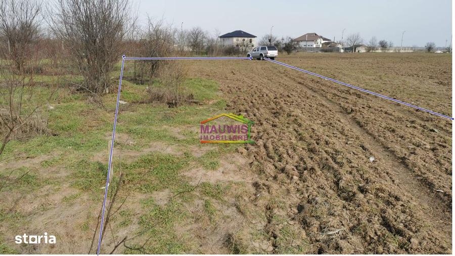 Vanzari Terenuri ILFOV - EST TANGANU - 1