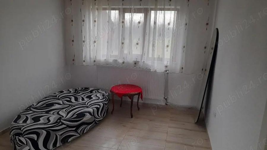 Casa de inchiriat in Seini - 3