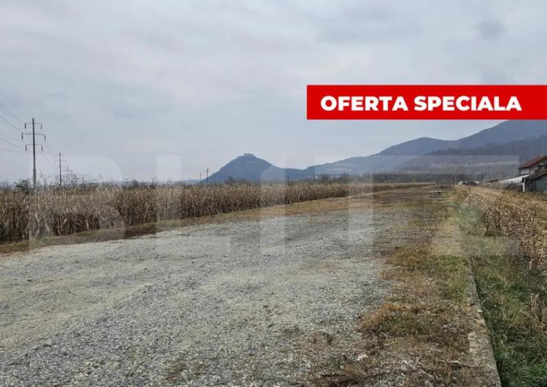 Oportunitate de Investi?ie de Top in ?oimu? - 2600 mp te - 3