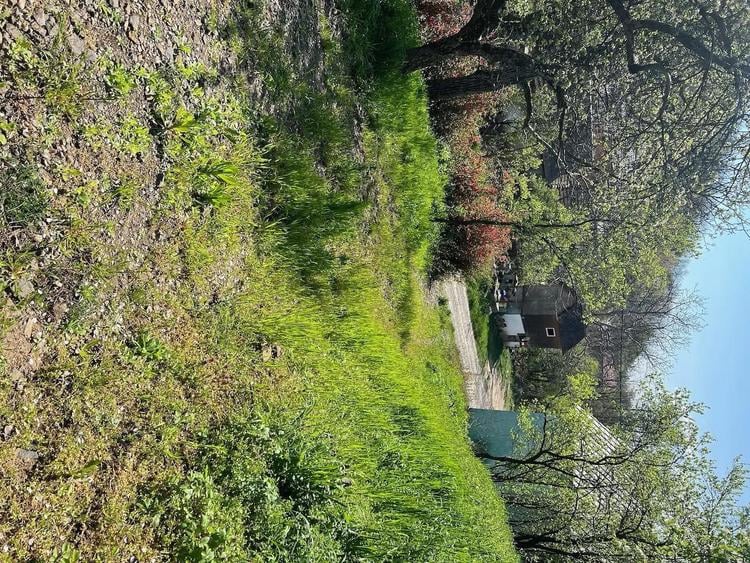 Vand proprietate in Seini: casa, teren ?i casu?a mobila, cu panorama deosebita - 3