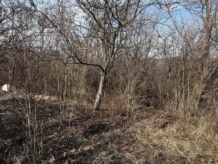 Teren de 9?nzard?n Seciu, Prahova  1.746 /?, cu utilitati si constructie demol - 6