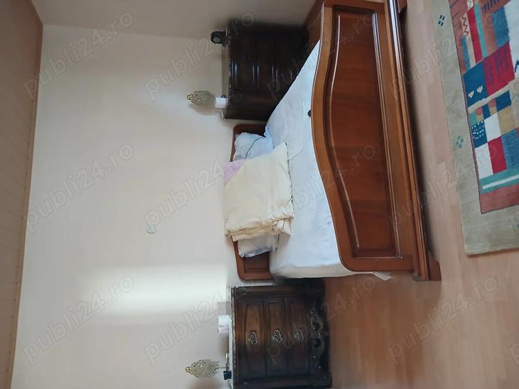 Casa de vanzare + garaj cu mansarda + anexe - 7