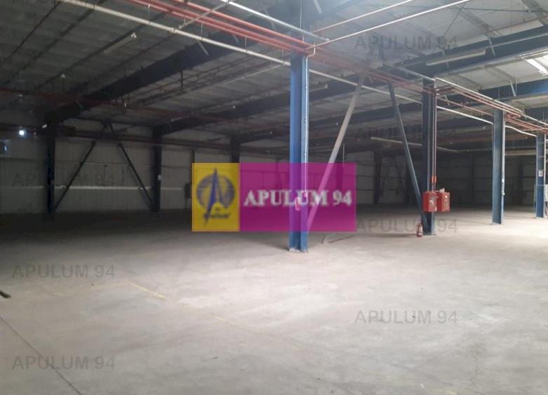 Spatiu Logistic langa Bucuresti Hala 5000 mp - 28