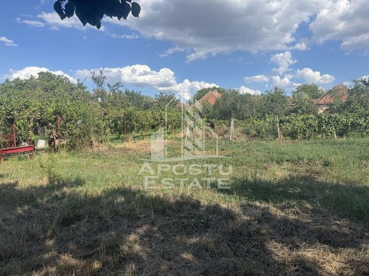 Casă unifamilială cu teren de 1504 mp - 16