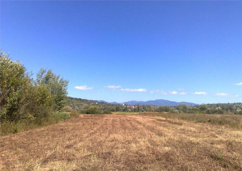 Teren intravilan 55 Ari Sacalaseni strada principala - 1