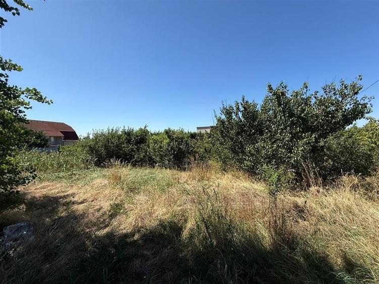 CASA  PLAN PARTER | DUBLU FRONT STRADAL | TEREN 1200 MP | STRADA DIMITRIE ANGHEL - 13