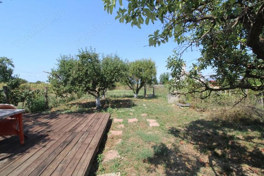 Case de vanzare, deschidere drum na?ional, Dragu?e?ti - 12