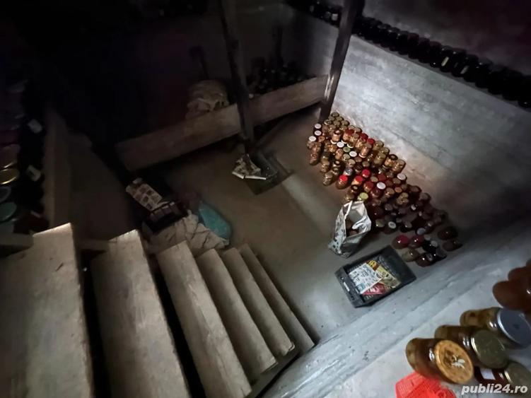 Casa spa?ioasa in Zerve?ti la 5km de Caransebe? ?i 20km de Muntele Mic - 1