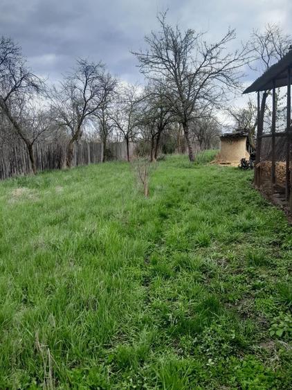 Teren de vanzare in Vaidei - 5