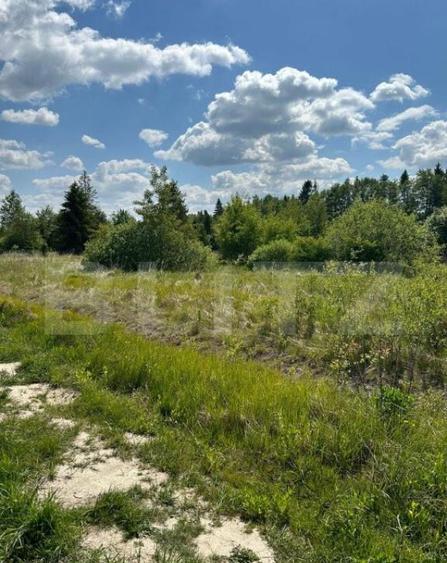 Teren intravilant, 2500 MP, parcelabil , front 25 ml ,Hardic - 7