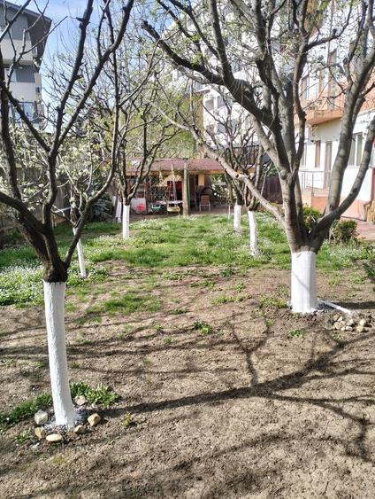 Titan, Nicolae Grigorescu - 2