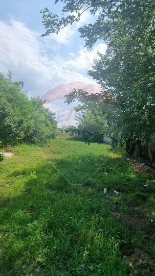 Vanzare Teren 1,300mp Balotesti / Strada Tarina Veche/Rezidential - 2