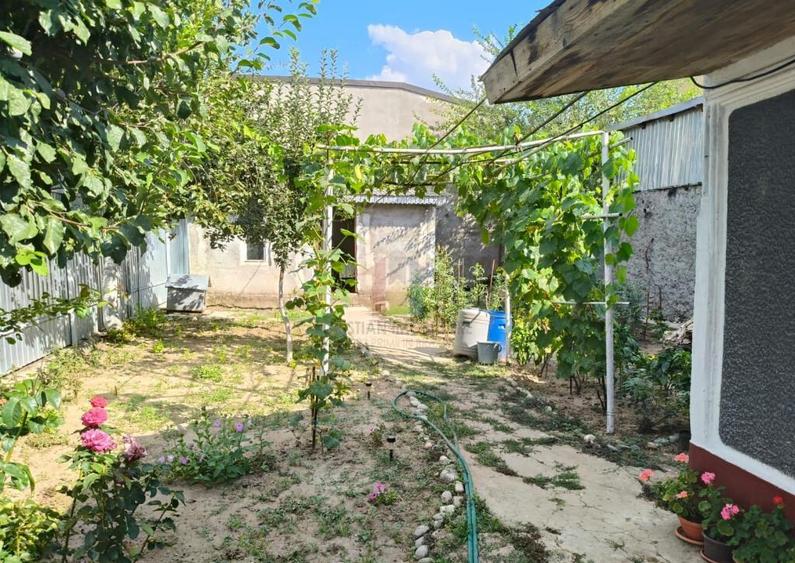 Casa 4 camere, Radu Negru, Teren - 264 mp - 5