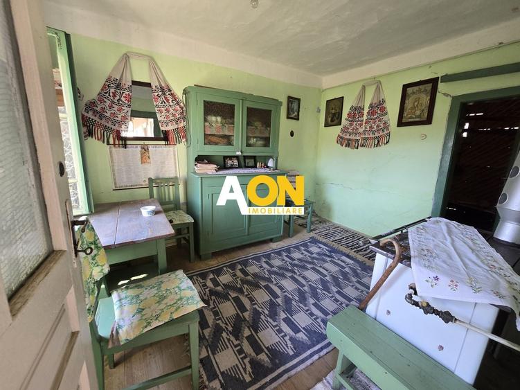 Casa de Vacanta 2 Camere, Strada Morilor Zlatna - 4