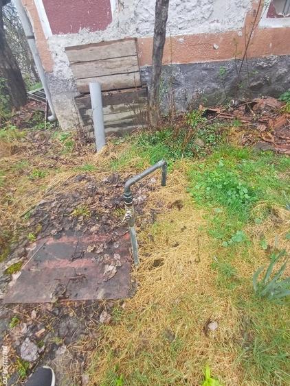 20 de arii si 2 case in Fi?cau - 7