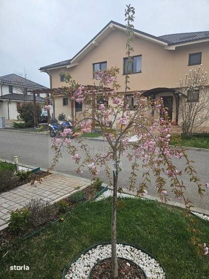 4 camere de inchiriat in Complex Paladin, Corbeanca | Mobilat complet - 9