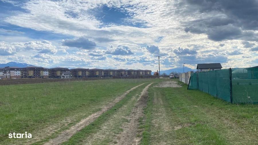 Teren Sanpetru Drumul cu Plopi - 2