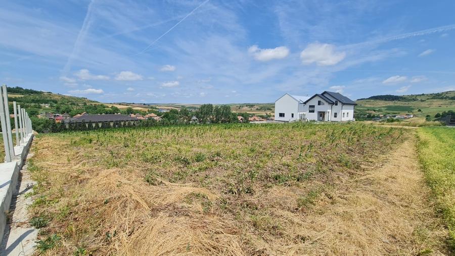 Teren Intravilan 1846 mp Casa | Duplex - 5