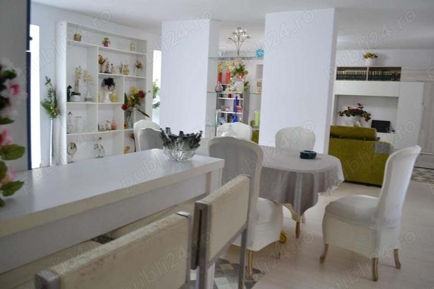 Casa Peciu Nou renovata 270 mp utili,4330 mp teren front 25 ml - 4